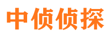 揭东捉小三公司